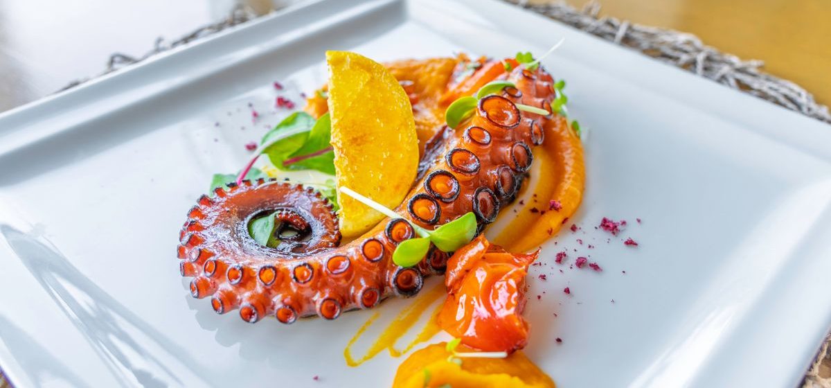Miejska Beach Bar - Miejsce Twoich letnich spotkań w Olsztynie!